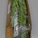 2 Pcs 48" Fake Ferns, 86 Branches Artificial Ferns for Outdoors Large Artificial Plants, UV Resistant Faux Boston Ferns Realistic Greenery for Patio Yard Porch Garden Hanging Decor