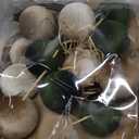 21Pcs Velvet Christmas Ball Ornaments 3.15" Shatterproof Christmas Tree Decorations Set with Paper Ornaments Hanging Xmas Decorations for Office Holiday Home Decor(Dark Green, Champagne, Kaki)