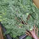 28.5" Artificial Cypress Trees Set of 2 UV Resistant Cedar Evergreen