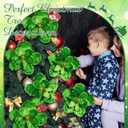 6 Pcs Large Christmas Glitter Flowers Velvet Christmas Magnolia Flowers 10 Inch Large Heads Artificial Poinsettia Picks Stems for Xmas Tree Ornaments Holiday Wedding Party Decor(Green)