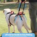 Dog Lift Harness for Extra Large Dogs, Heavy Dog Lifting Support Harness with Dual Handles, Strong Mobility Aid for Arthritis & Injury Recovery, Red, XL