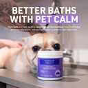 2 x Veterinary Formula Clinical Care Antiparasitic & Antiseborrheic Medicated Dog Shampoo, 16 oz  Paraben, Dye, Soap Free  Hydrating and Antifungal Shampoo for Dogs, White