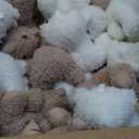 Tasdurian 24 Pcs Mini Plush Bear Bulk Small Stuffed Animal DIY Keychain for Birthday Gifts Party Favors Supplies