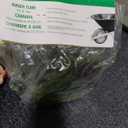 Marathon Industries Marathon 4.80/4.00-8" & 4.00-8" Replacement Inner Tube, Pack of 4