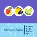 Polar Seltzer Water Newbies Variety Pack, 12 fl oz cans, 18 pack