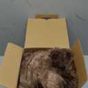 Bedsure Sherpa Fuzzy Throw Blanket -Fleece Soft, Warm and Cozy Throw for Women, Plush & Fluffy Faux Fur Blanket for Couch, Sofa and Bed Decor, Tie Dye Design, Brown, 50x60 Inches