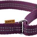 Adjustable Nylon Reflective Martingale Dog Collar for Training and Walking (Purple, XS (Neck: 10"-14", Width: 3/8"))