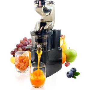 Cold Press Juicer Machines Slow Masticating High Yield Pulp separation Can make fruit ice cream Multi-Functional for Home Commercial Use Wide Feed Chute (Black)