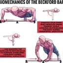 Push up Bar at Home Workout Equipment for Men and Women, Push Up Board Portable at Home Gym Equipment, Pushup Handles Calisthenics Equipment for Home Workout, Pushup Board Workout Equipment for Home