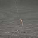 Top Loader Storage Box, Trading Card Case for Sports Cards, Fits 3" x 4" 35PT Rigid Card Holder with 18 Colorful Dividers and 6 Foam Stoppers, Holds 600+ Top Loaders, Cards Case Holder