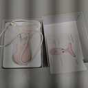 Red Light Therapy for Face and Neck, 7 Color Light Based Face Massager Tool, Portable Skin Care Tool for Firming, Tightening and Lifting (Glossy Pink)