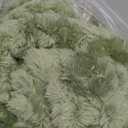 Bedsure GentleSoft Reseda Fleece Twin Blanket for Couch - Super Soft Cozy Blankets for Women, Cute Small Throws for Girls, 60x80 Inches