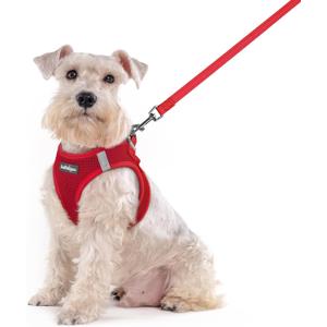 Rabbitgoo Dog Harness Small Sized and Leash Set, Step in Soft Light Puppy Vest, Breathable Mesh Pet Harness, Reflective for Outdoor Safe Walking, Red XXL (Chest: 21.6 - 23.7"))