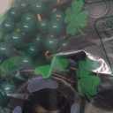 Zeyune St. Patrick's Day Decoration Shamrock Garland with Pots of Gold Clover Green Wooden Beads Garland Felt Irish Banner for Farmhouse Fireplace Mantel Walls Home Decor