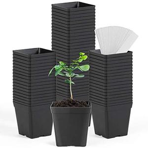 June Fox Square Nursery Pots 3.3 Inches Flexible Plastic Seedling Pots Square Pots for Plants, Succulent, Flower, Pack of 60, with 60 PCS Plant Labels