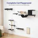 Cat Wall Shelves, Stable & Safe 6 in 1 Cat Furniture Set Black, for Cats to Climb, Hide, Lounge, and Scratch