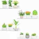 Lifewit Window Plant Floating Shelves 14.6x3.6, 4 Pack Acrylic Suction Cup Shelf, Window Sill Extender for Indoor Succulent Plants, Micro Greens, Seed Starter Pots, Herb Planters 37 x 9 cm/14.6x3.6