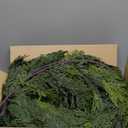 SHareconn 9FT Christmas Cedar Garland Decoration, Artificial Realistic Faux Cypress Greenery Garland for Winter Mantle Table Stairs Railing Fireplace Holiday Indoor Outdoor Decor, 9 FT