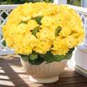 FULLMUSIC Artificial Flowers for Outdoor, UV Resistant Realistic Geranium Fake Flowers-Faux Flowers for Outdoor planters, Garden, Porch, Patio, Window Box Home Decor All Year Round (6, Yellow)