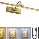 24" Picture Lights for Wall with 8000mAh Battery - Brass Operated Wireless Wall Art Light with Remote Control for Large Portrait & Paintings Art