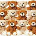 12 Pack Teddy Bears Bulk 13.5 inch Teddy Bear Stuffed Animal Baby Shower Bear Plush Gifts for Christmas Valentine's Day Mother's Day for Kids or Adults (6 Light & 6 Dark Brown)