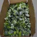 summer flower 8 Pcs Eucalyptus Leaves Greenery Artificial Dusty Frosted Stems Fake Eucalyptus Shrubs for Wreath DIY Hanging Planter Vases Farmhouse Home Indoor Wall Holiday Party Decorations