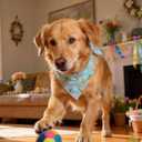 Funny Easter Dog Bandana, Bunny and Chick Donut Print Pet Scarf, Carrots and Easter Eggs Pattern Holiday Pet Bandana for Small Medium Dogs