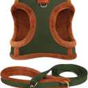 Beirui Small Dog Harness and Leash Set, Soft Warm Puppy Harness Small Size Dog, Adjustable No Pull Dog Harness for Small Dogs,Easy Walk Dog Harness Small Sized Dog in Winter(Green,Chest 15-17")