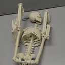 Halloween Skeleton Decorations,36" Posable Human Skeleton Decorations for Halloween Party Decor, Haunted House Props Indoor Outdoor Decoration