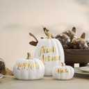 DN DECONATION 3Pcs Fall Pumpkin Decorations for Home, Faux White and Gold Words Pumpkin, Decorative Resin Pumpkins Figurines for Minimalist Modern Farmhouse Autumn Thanksgiving Fall Table Mantel Decor