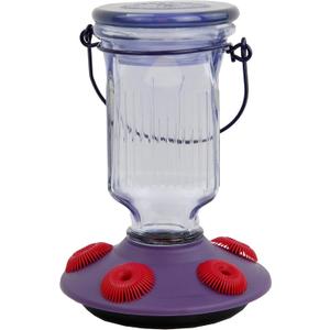 Perky-Pet 9101-2 Lavender Field Top-Fill Glass Hummingbird Feeder Purple 16 oz Capacity