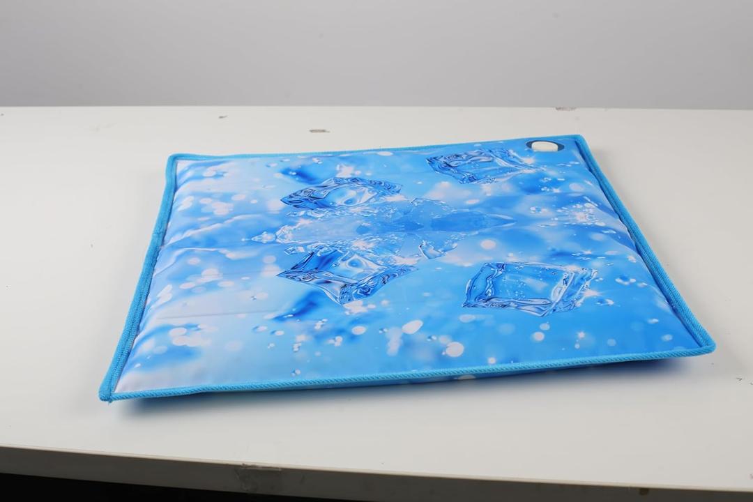 Summer Keep Your Pet Cool