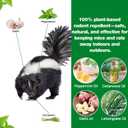 24 Pack Skunk Repellent Outdoor - Raccoon Repellent for Indoor Outdoor, Natural Peppermint Oil Mole Repellent Safe for Pets & Kids Repels Skunk Raccoon