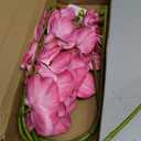 Vintage Pink Orchid Artificial Flowers 29.52" Real Touch Latex Faux Butterfly Pink Phalaenopsis Branches Fake Flower for Home Party Wedding Bridal Shower Decoration