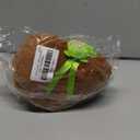 Walking Capybara Plush, Cute Capybara Stuffed Animal Toy with Removable Turtle Backpack, 6.3'' Electric Interactive Animal Pet Toys Hopping Realistic Pet Gifts with Sounds for Toddlers, Brown