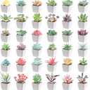 36 Pieces Mini Artificial Succulent Plants Potted Assorted Decorative Fake Succulent Plants with Pots Set Small Plastic Faux Succulents in Pots for Room Bookshelf Desk Bedroom Bathroom