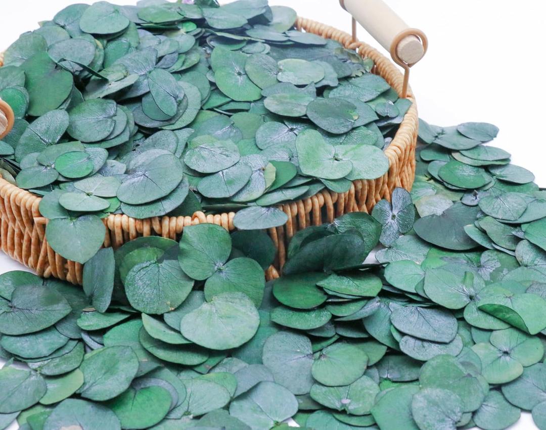 3200+ Preserved Real Eucalyptus Leaves Small, Natural Bulk Eucalyptus, Biodegradable Wedding Leaves Confetti for Anniversaries, Birthday, Graduation, Bridal Showers, Baby Shower Party Decor
