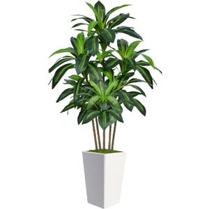 6FT Artificial Dracaena Tree, Fake Tree Indoor with White Tall Planter,Tall Artificial Plants Indoor, Artificial Silk Tree for Home Office Decor (White)