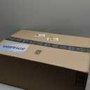 2 Pcs Norfolk Pine 6FT