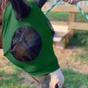 Horse Fly Mask - Durable Equine Fly Mask with Full Coverage for Eye & Ear - Stretchable, UV & Sun Protection Flymask for Horses, Ponies & Mini Horses - Horse Face Cover for Pasture & Trail - Green (Large)