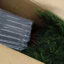 AOKIIE 2 Pack 5FT Artificial Topiary Cedar Plants Outdoor (With Backets), Faux Pine Trees UV Resistant and Potted, 72 Inch Tall Fake Shrubs Evergreen for Front Porch Decor + 3Ft Artificial Topiary Cedar Plants Outdoor 2 Pack (Without Backet), 4 Pcs