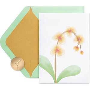 PAPYRUS Sympathy Card, 1 EA