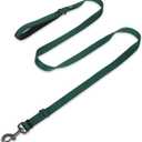 Hyhug Nylon Adjustable 4-6ft Dog Leash with Soft Neoprene Padded Handle, Durable Heavy Duty Leash with Easy-to-Use Bolt Snap, Ideal for Jogging Outdoor (Green)