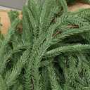 Artificial Norfolk Pine Garland, Realistic Christmas Greenery Garland for Mantle, Staircase, Banister, Fireplace, Wall, Door, Table, Indoor & Outdoor Holiday Winter Decortions (9 Ft-2pcs)