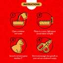 2 x Miracle Care Cat A'bout Cat Grass Kit for Indoor Cats, 5.25 Ounce, Hairball Control, Anti-Inflammatory, Improves Digestion and Metabolism