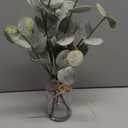 Artificial Eucalyptus Stems in Glass Vase with Faux Water, 13.5" Fake Plants for Home Decor, Coffee Table Centerpieces, Office, Bathroom & Farmhouse Weddings - Faux Greenery Plants Decorations