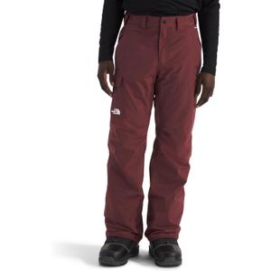The North Face Men's Freedom Pants (Medium Long)