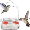 Nature's Way Bird Products MJF1 Nature's Way Mason Jar Hummingbird Dish Feeder, Clear (4" dia.)
