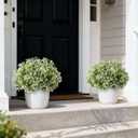 Set of 2 Artificial Boxwood Topiary Ball Trees for Front Door - Realistic Faux Aglaia Odorata Bush with Pot, Fake Eucalyptus Leaves Potted Plants for Porch Farmhouse Outdoor Decor (White-Green)