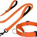 FunTags Reflective Martingale Collar for Dogs, Quick Release Buckle, 5FT Double Handle Dog Leash Padded, Dog Collar and Leash Set, Adjustable for Medium Dogs (Orange, M)